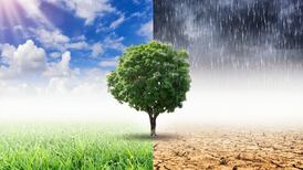 Response to Covid-19 and climate change: a remarkable divergence