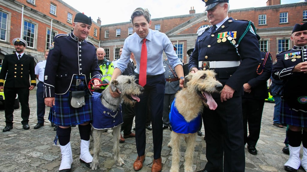 From left, Des Mulreamy advance paramedic, Minister for Health Simon Harris and David Dixon motorcycle paramedic, with two Irish wolfhounds, Ru and Shannon. Photograph: Gareth Chaney/Collins