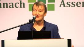 The Eighth Amendment puts the health of pregnant women in jeopardy