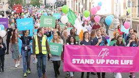 Hundreds take part in anti-abortion rally outside Leinster House