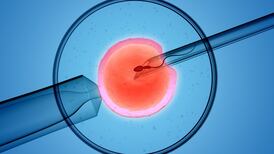 Government to pay for couples to have IVF treatment