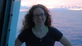 Underwater volcanoes contribute to chemical cycle that sustains life