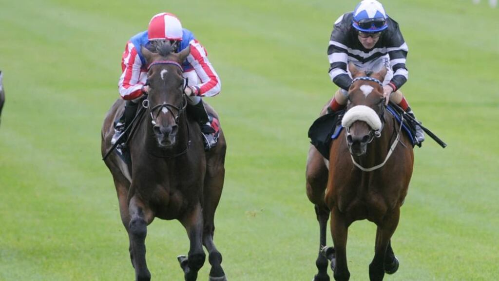 Jockey Johnny Murtagh (left) rides Royal Diamond to victory in The Gain Irish St Leger Trial Stakes during the Galileo Futurity Stakes Day at the Curragh last month. Photograph: PA