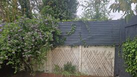 Your gardening questions answered: How should I plant up my new flower beds?