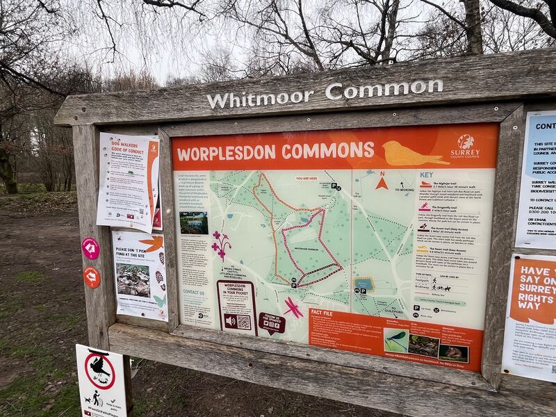 Whitmoor Common near Freddie Scappaticci's former home in Guildford, where the late British Army double agent frequently walked his dog