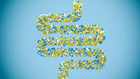 Probiotics that aid benign gut bacteria ‘may help ease depression’