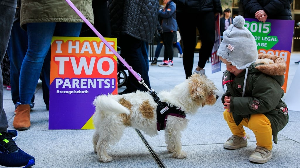A dog with 18-month-old Willa from Rathcoole, Dublin during an Equality for Children Campaign Launch & Demonstration at the Department of Health on Baggot Street last week.The protesters want same-sex couples to both be recognised as their children’s parents. Photograph: Gareth Chaney