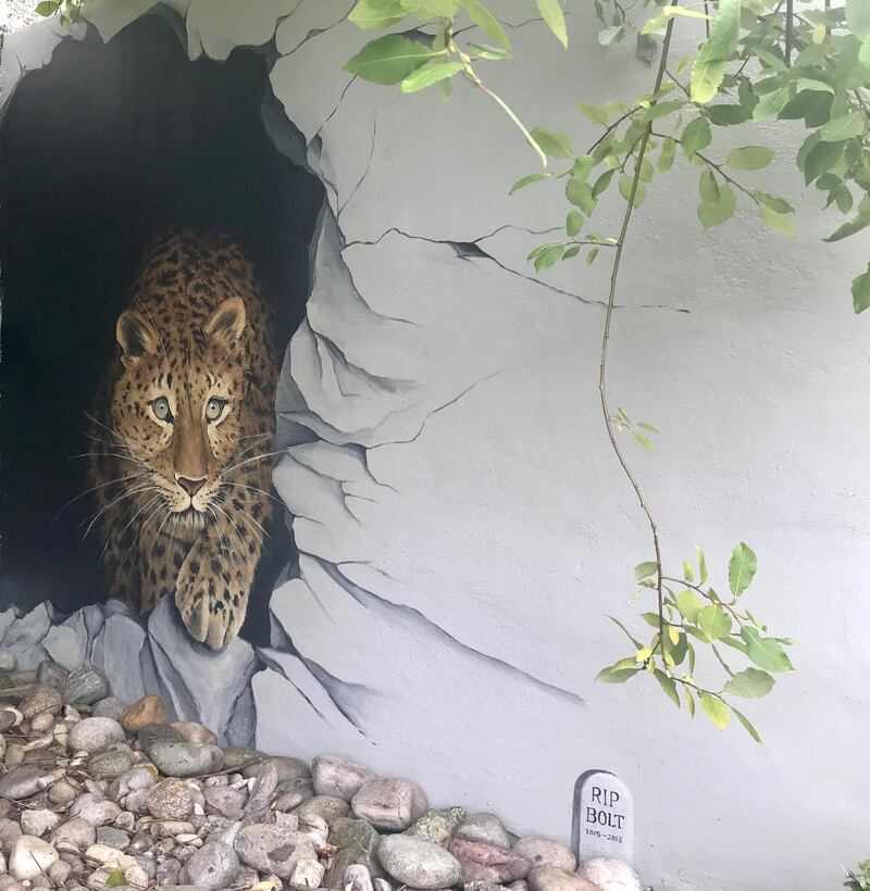 Leopard mural by Vauney Strahan