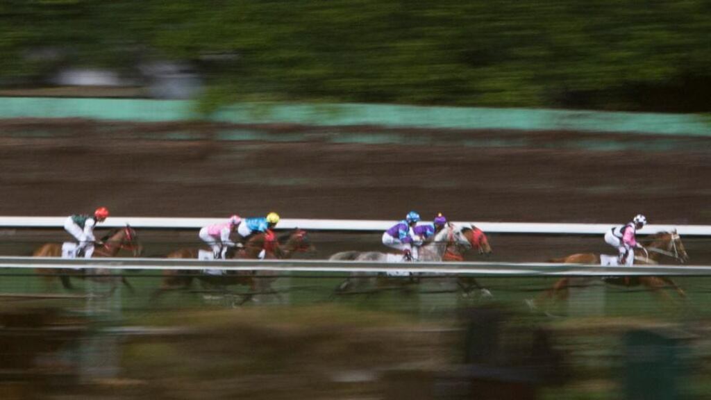 In most racing jurisdictions, finance is generated from punters, giving professionals a vital self-interest in maintaining public confidence in integrity. But in Ireland the financial priority is keeping the State money hose open to the ruling body, Horse Racing Ireland. Photograph: Brent Lewin/Bloomberg