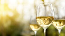 Five Lidl wines to try for the weekend from Portugal, Spain and Hungary