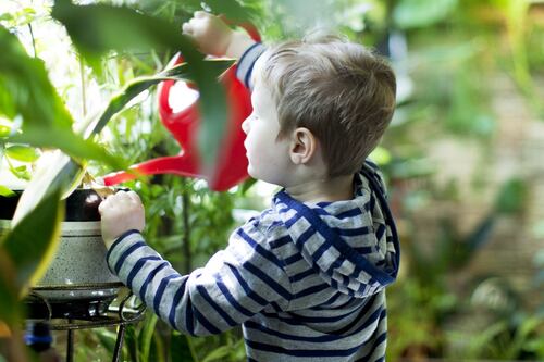 Health tip of the day: water your plants