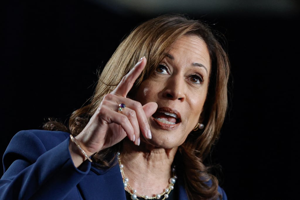 US vice-president and Democratic presidential candidate Kamala Harris speaking earlier this week during her first campaign rally in Milwaukee, Wisconsin. Harris has to convince the voting public that she has the stuff that makes enough people want to believe in her. Photograph: Kamil Krzaczynski/AFP via Getty Images