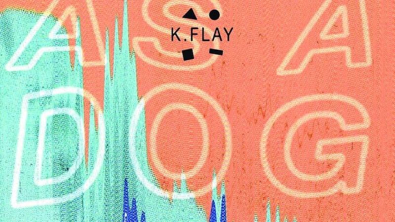 K Flay: Life as a Dog