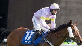 Takingrisks lands Scottish Grand National at 25-1