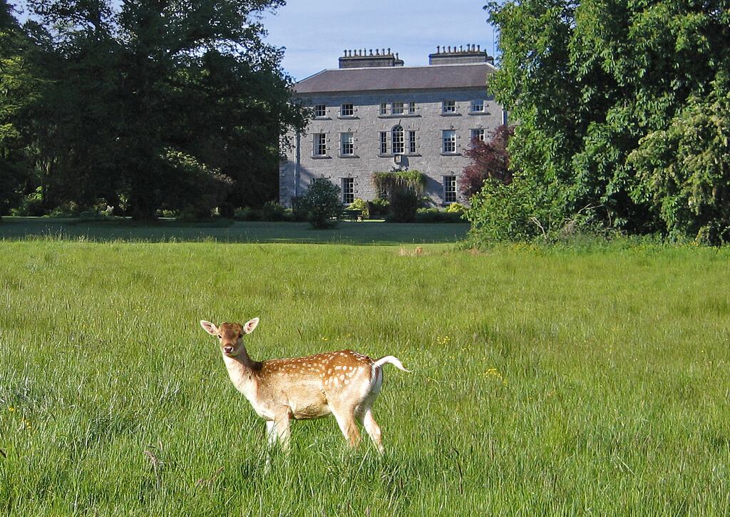 'I grew up just a few fields away from one of Sligo’s finest country houses, Coopershill, set in 500 acres of farmland, deer pastures, woodland and gardens overlooking the river Unsin.'