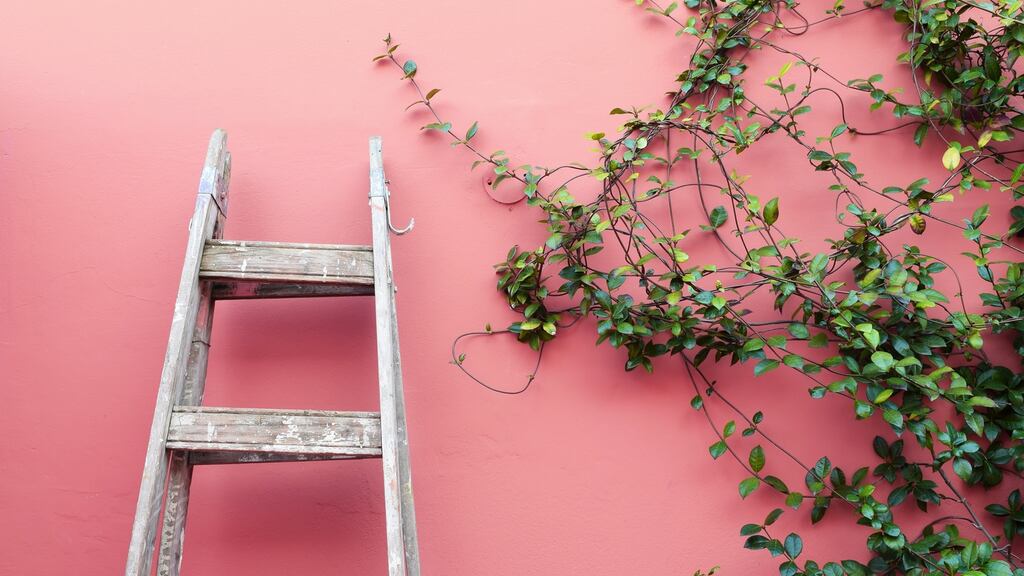 A gardener who suffered a serious wrist injury after falling from a step ladder while working has been awarded €100,800 by the High Court. Photograph: iStock.