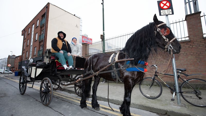 Matty Matheson and Seamas O’Reilly travel in style. Photograph: Tom Honan