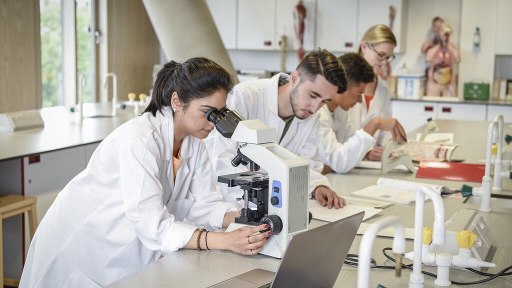 Applications for science-based third-level courses have increased significantly, according to the latest trends from CAO. Photograph: Johnny Greig/iStock