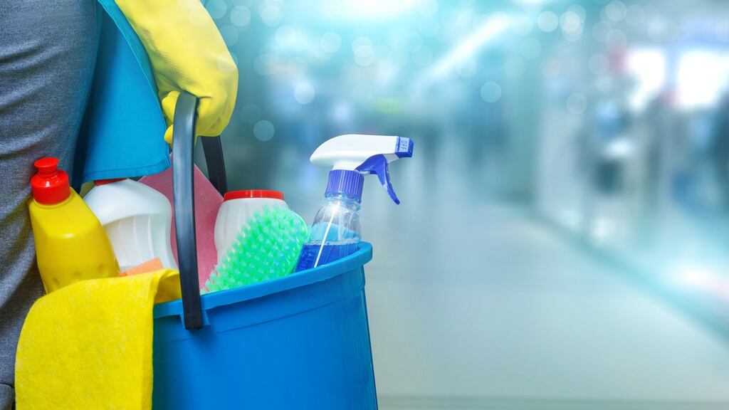 Cleaning supervisor Olivia Quinn was moved for making a complaint about a civil servant. Photograph: iStock