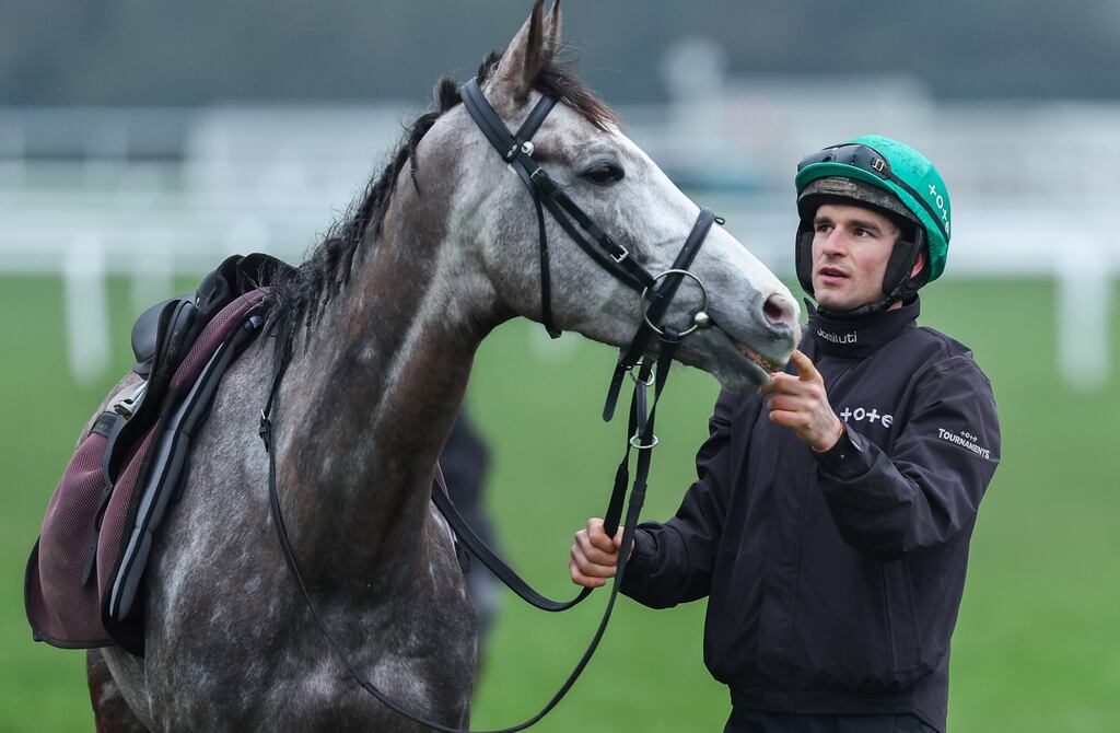 Danny Mullins with Il Etait Temps: 'He’s everything but a fine, big chaser. He just seems to be very good at jumping fences.' Photograph: Tom Maher/Inpho
