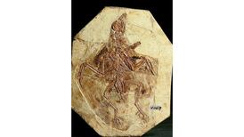 Dinosaurs get a fresh new look