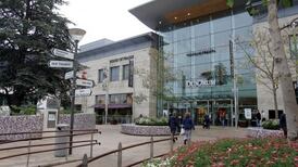 Hammerson’s Irish results a mixed bag