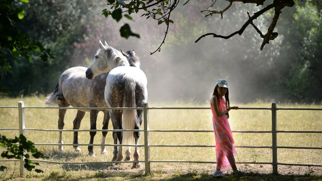 Alicia McKiernan from Gorey at Aras an Uachtarain in Dublin’s Phoenix Park on Wednesday. Photograph: Dara Mac Dónaill