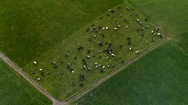 A new way for Ireland to meet  the climate change challenge