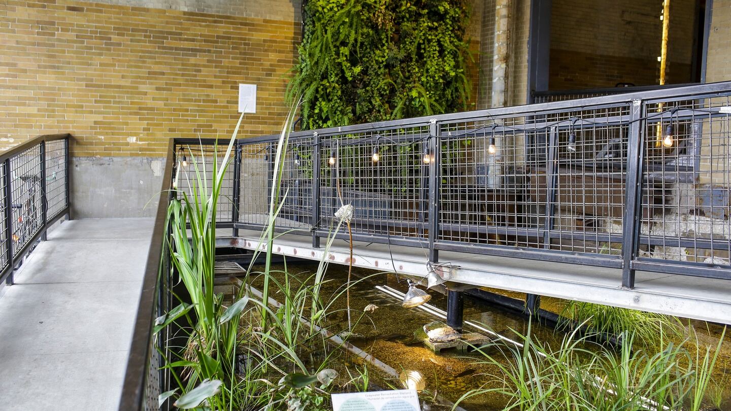 The Plant’s lobby has a vertical garden, on Aug. 17, 2019, fed with wastewater from an ice company in the basement. The Plant, in Chicago, is home to about 20 food businesses. Photograph: Joshua Lott/The New York Times