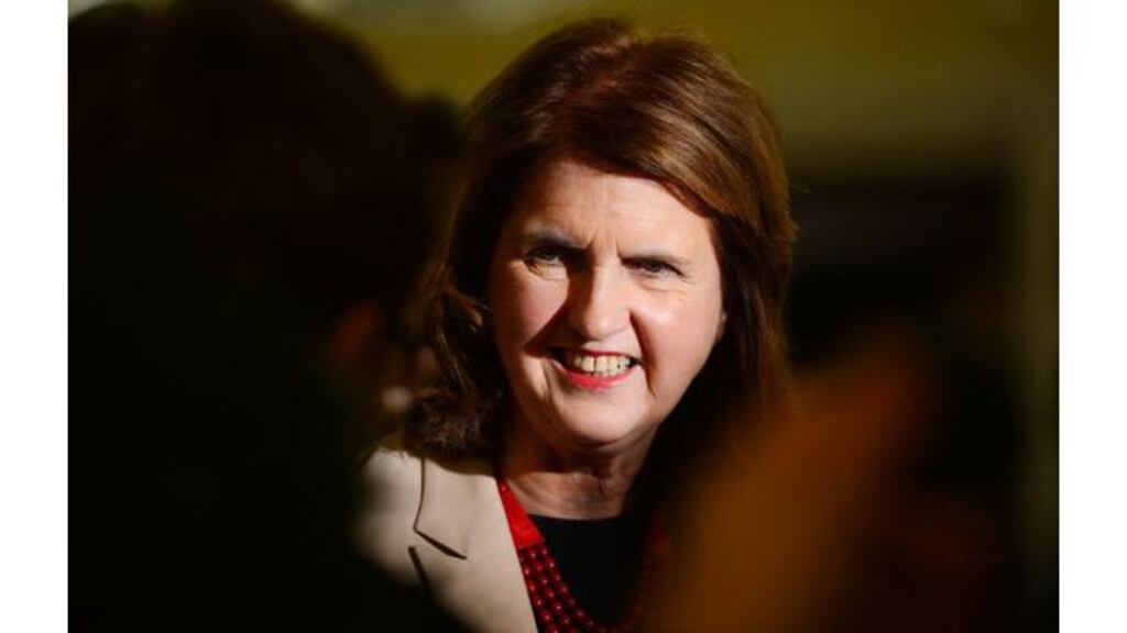 Minister for Social Protection Joan Burton brought the expert report before Cabinet yesterday.