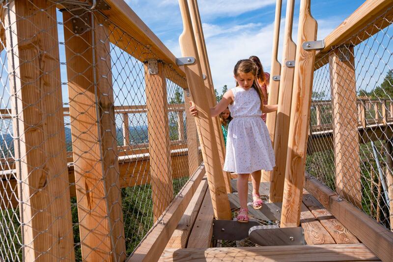 Treetop Walk, Avondale Forest Park