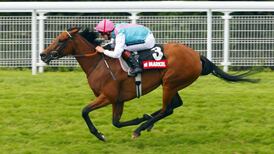 Midday gives birth to Frankel foal