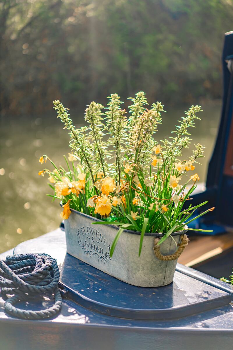 Zinc is non-porous as well as being versatile and beautiful. Photograph: iStock