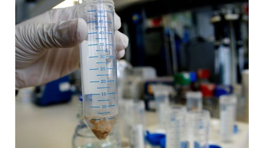 An employee of the microbiological laboratory of the Austrian Agency for Health and Food Safety takes a sample of minced meat in Vienna yesterday. The samples of minced meat are tested for the presence of horse meat as a precaution. Photo: Reuters