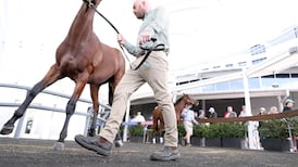 State still holding up racing’s finances after nearly 25 years of funding