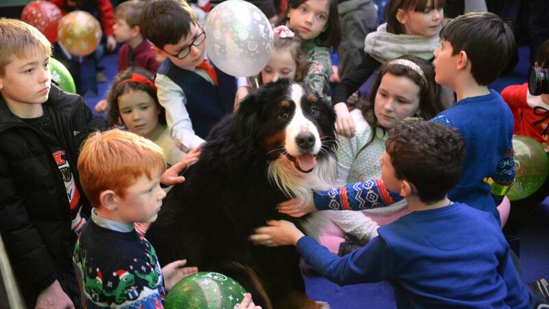 Síoda, one of the President’s dogs, sits among children as Michael D Higgins and his wife Sabina welcomed people to Áras an Uachtaráin for the official switching on of the Christmas lights. Photograph: Dara Mac Dónaill / The Irish Times