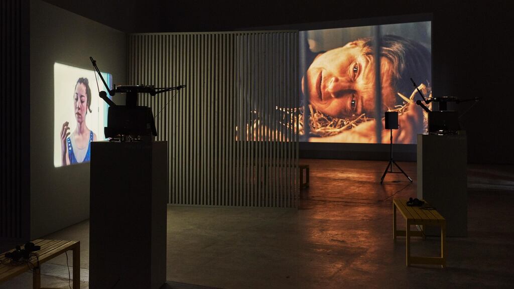 Subjects and Objects by Daria Martin at Visual Carlow: Films impart gentle melancholy caused by insight into the intense emotional pain that extreme moments of empathy can engender. Photograph: Ros Kavanagh