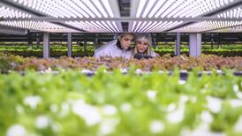 The sweet taste of career success