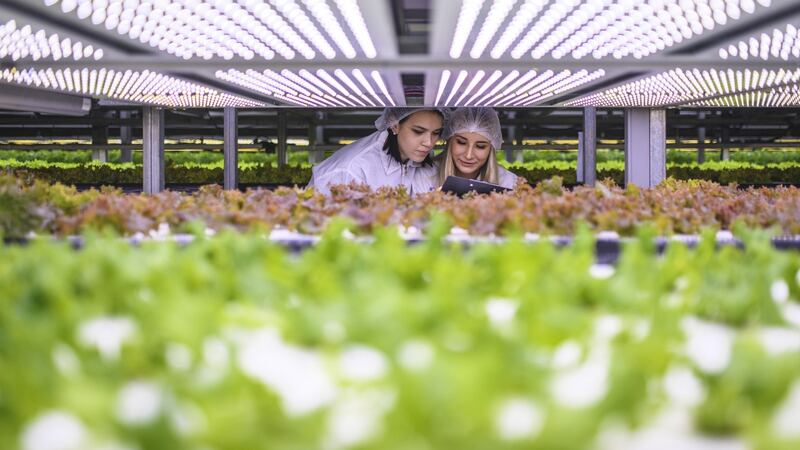 The sweet taste of career success