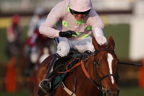 Limini to miss Champion Hurdle but will feature in Mares’ Hurdle