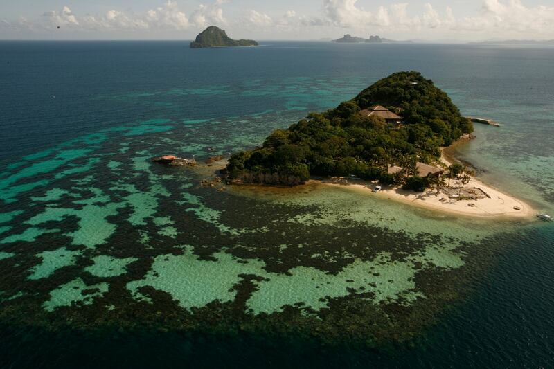Algae cultivation in Palawan, the Philippines, for the production of carrageen, or Irish moss. Photograph: Patrick Aventurier/Getty Images