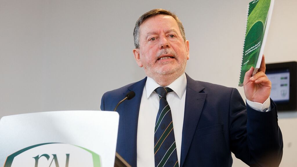 Donal Conway: by April 15th he was sitting across a table from his long-time friend at an airport hotel, attempting to negotiate the first stage of Delaney’s exit from the organisation. Photograph: Tommy Dickson/Inpho