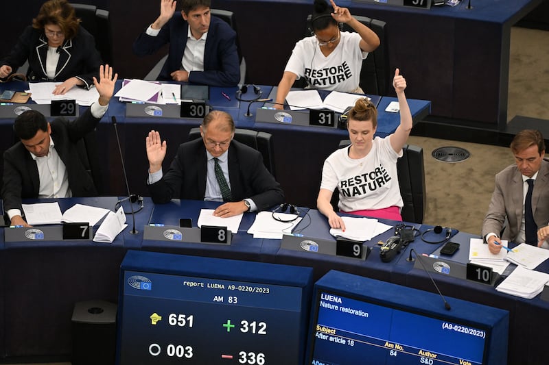 Members of the European Parliament, some in 'Restore Nature' T-shirts, take part in a voting session on the EU Nature Restoration Law in Strasbourg, France, last month. The law text passed with 336 votes in favour, 300 against and 13 abstentions, setting the scene for the parliament to negotiate a final law with EU member states. Photograph: Frederick Florin/AFP/Getty