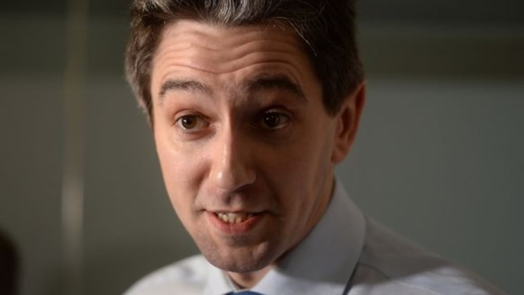 Representatives from Rehab met Minster for Health Simon Harris on Tuesday afternoon. File photograph: Dara McDonaill/The Irish Times