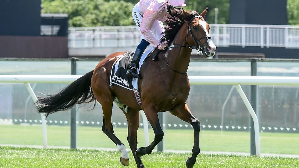 Anthony Van Dyck suffered a fatal injury during the Melbourne Cup. Photograph: Brett Holburt/Getty/AFP