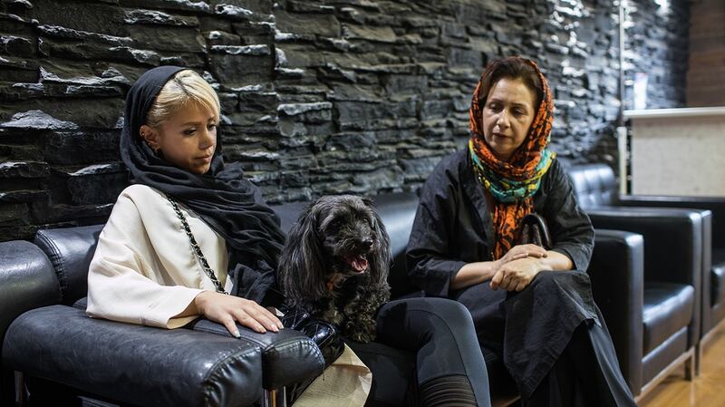Mandana and her mother with Mandana’s four-year-old dog at the vet clinic in Tehran. Photograph: Arash Khamooshi via The New York Times
