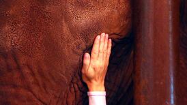 Belief is waning in lot of things: Christianity, the Irish soccer team, journalistic objectivity