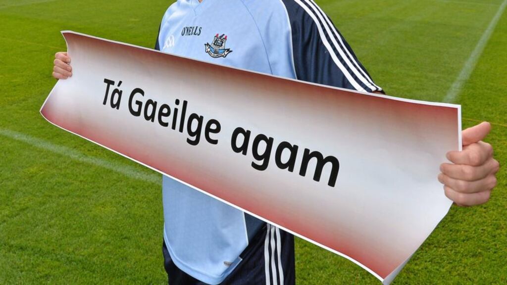 Anybody who wishes to engage in Irish with the State or any of its agencies or bodies is entitled to do so