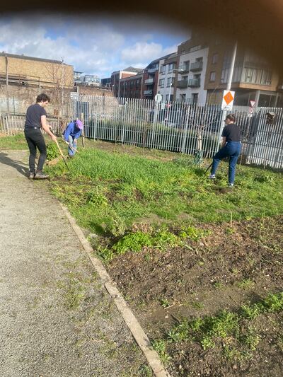 Volunteers at work in Taplin’s Fields, Dublin