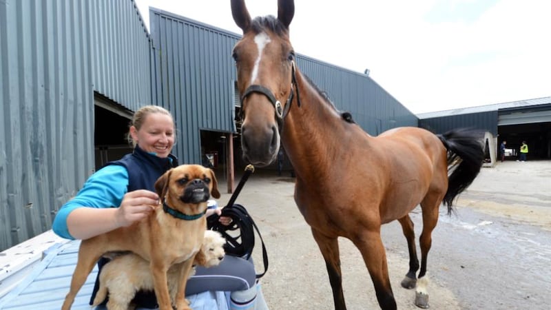 Millstreet gets the London look